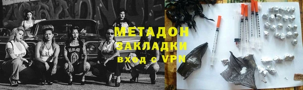 индика Осинники