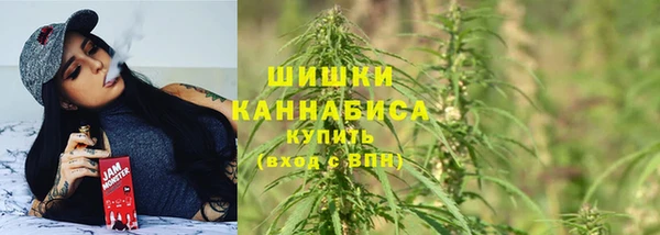 прущая мука Няндома