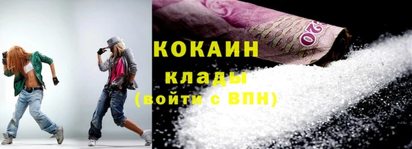 индика Осинники