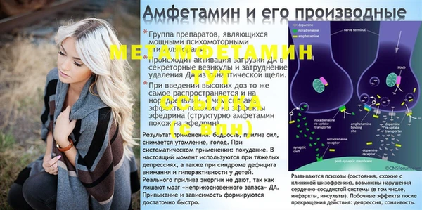 индика Осинники