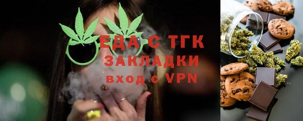 индика Осинники