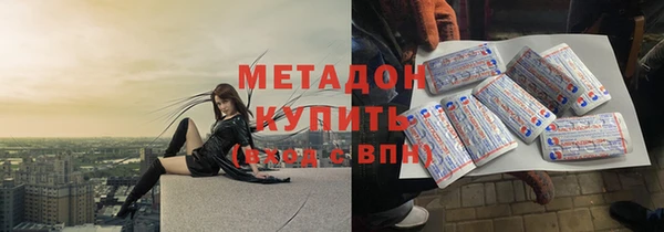 индика Осинники