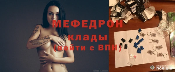 индика Осинники