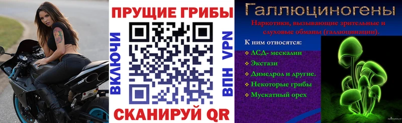 MEGA ССЫЛКА Ивангород Галлюциногенные грибы мицелий